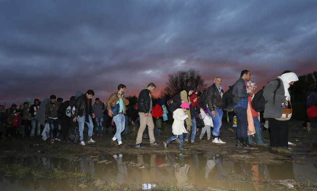 Migrants make their way after crossing the border at Zakany
