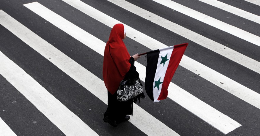 Syria demonstrator