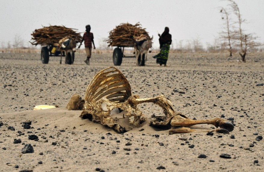 "Kenya Drought"