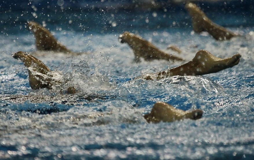 "China Swimming World Championships"