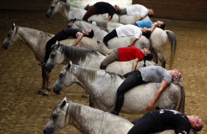 Budapest horse show practice