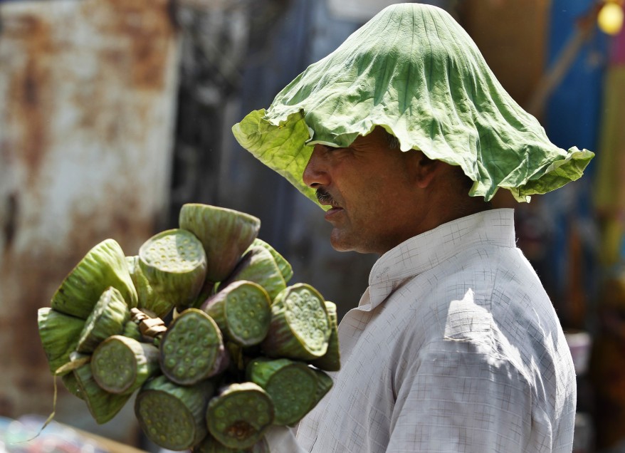 "India Lotus Vendor"