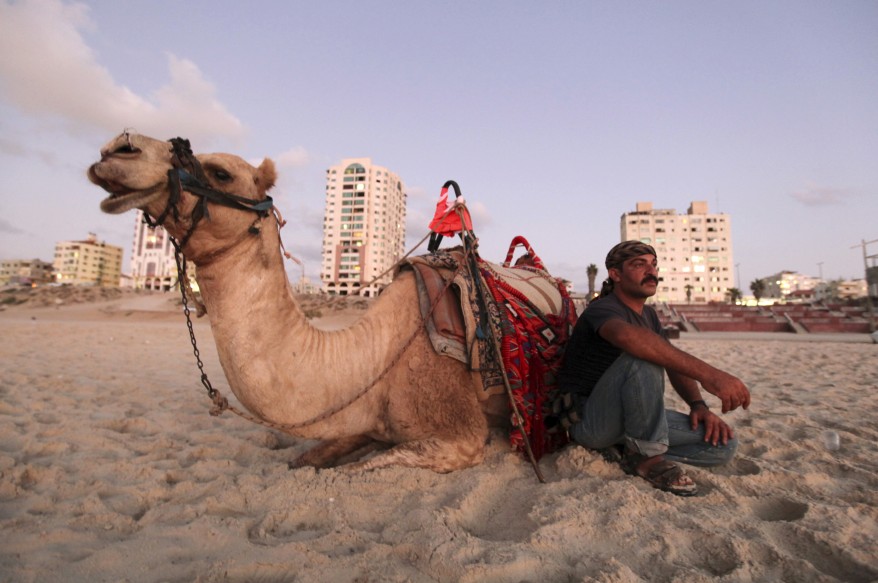 A Palestinian sits next to his camel on the beach in Gaza City. (Reuters)