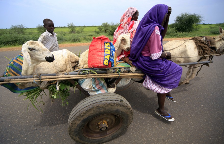 "Sudan Blue Nile State Conflict"