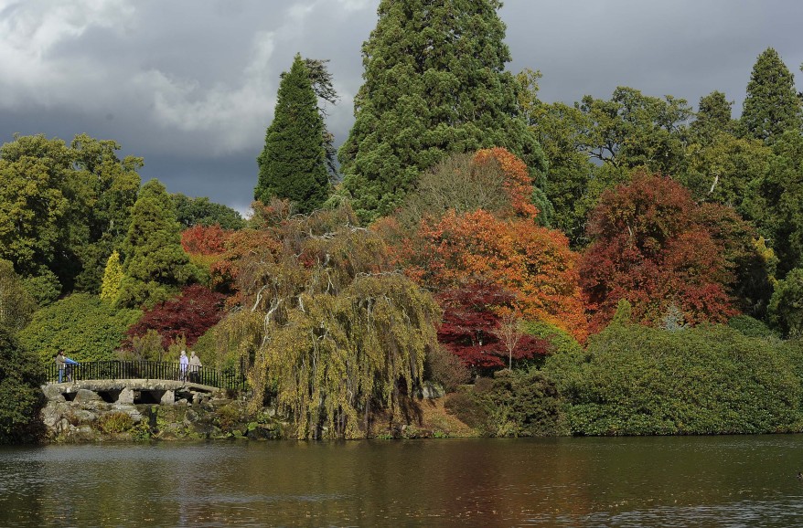 "Autumn Colors"