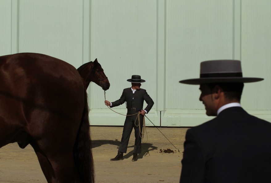 Andalusian Horsemen Seville