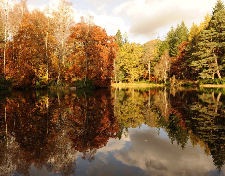 "Scotland Autumn"