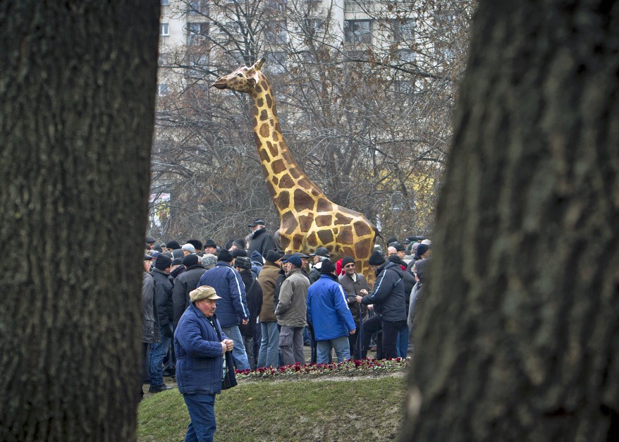 Romania Protest