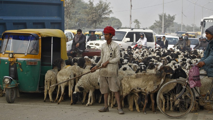 "India Traffic"