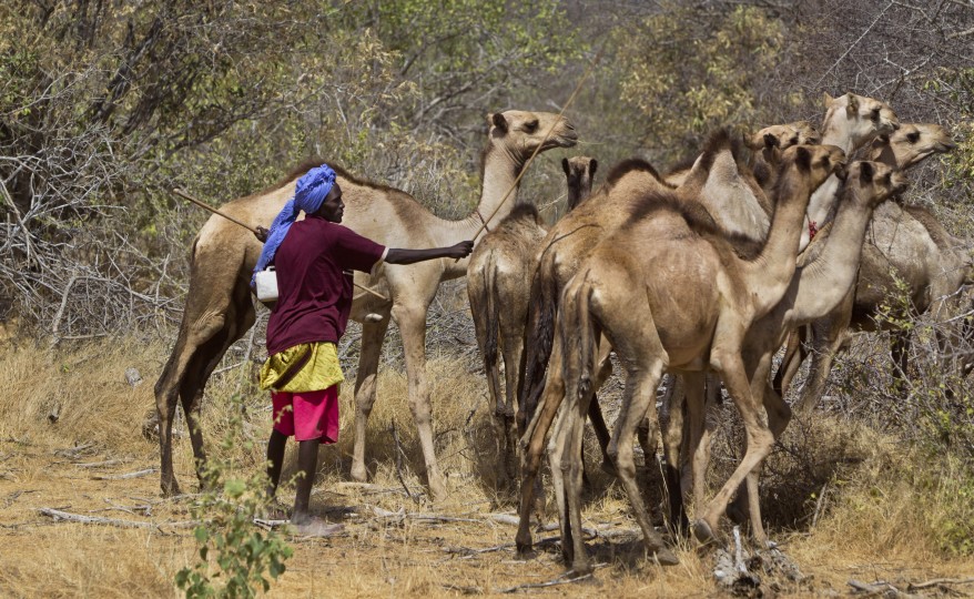 "Somalia Kenya"