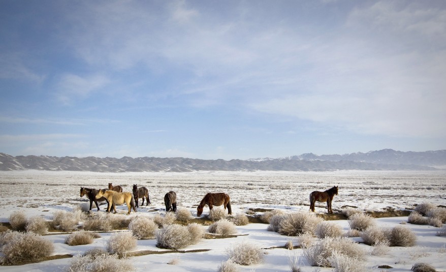 "Kazakhstan Nature"