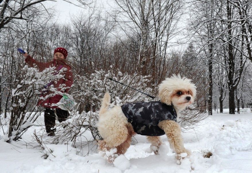 "Belarus Weather"