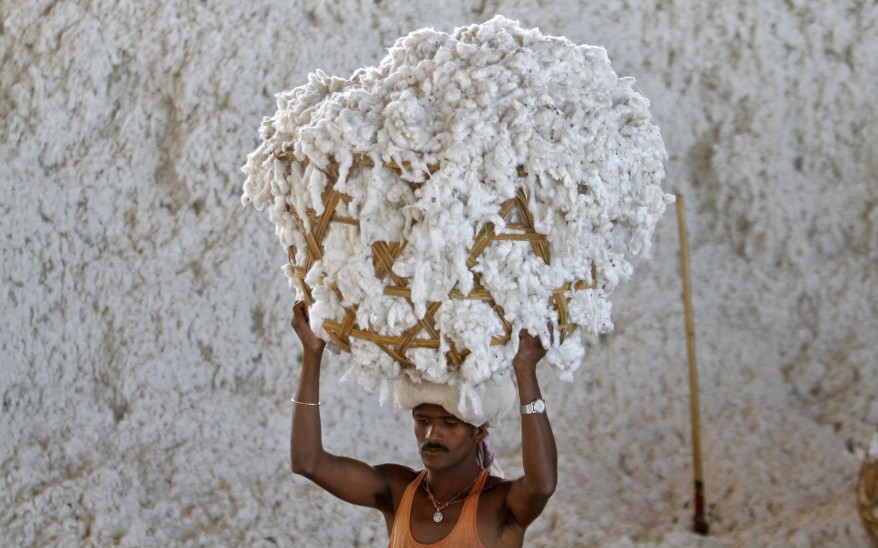 "India Cotton"