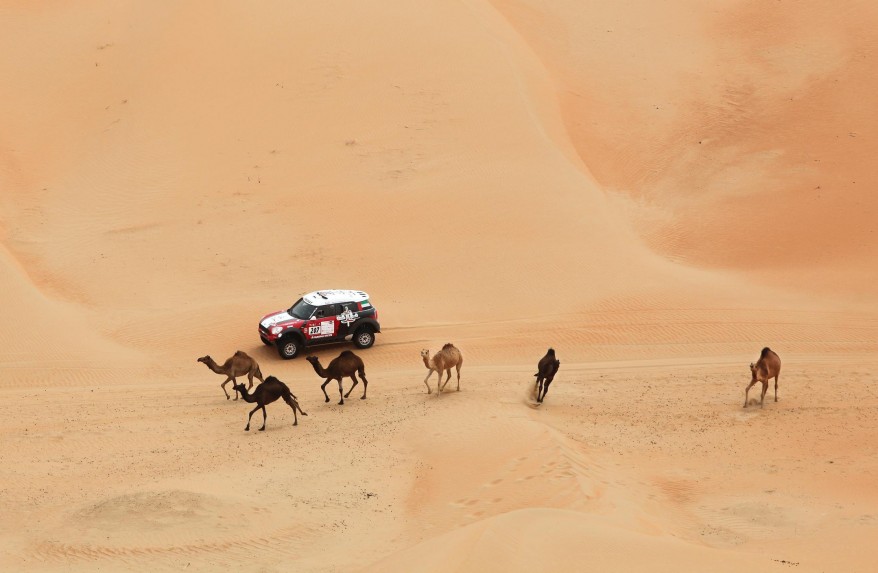 "UAE Desert Challenge"
