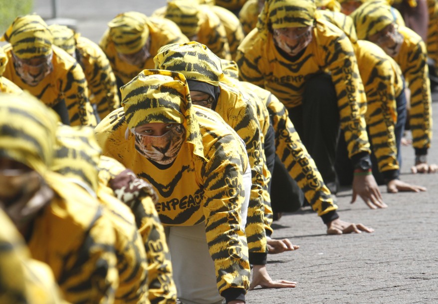 "Indonesia Tiger Protest"