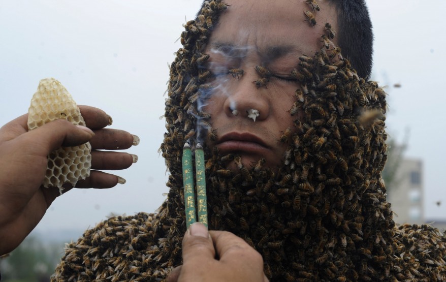 "China Bees"