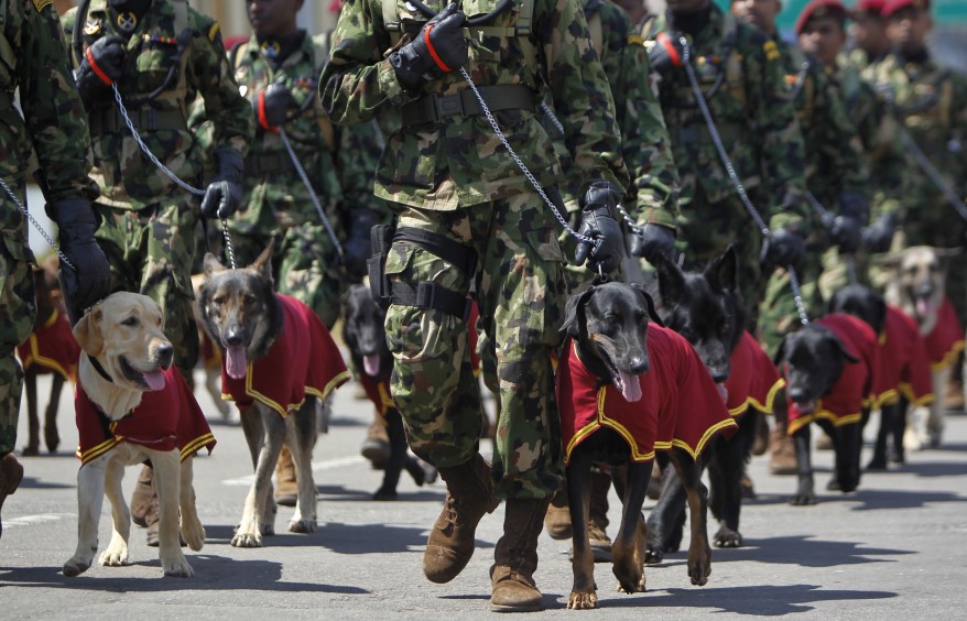 "Sri Lanka War parade"