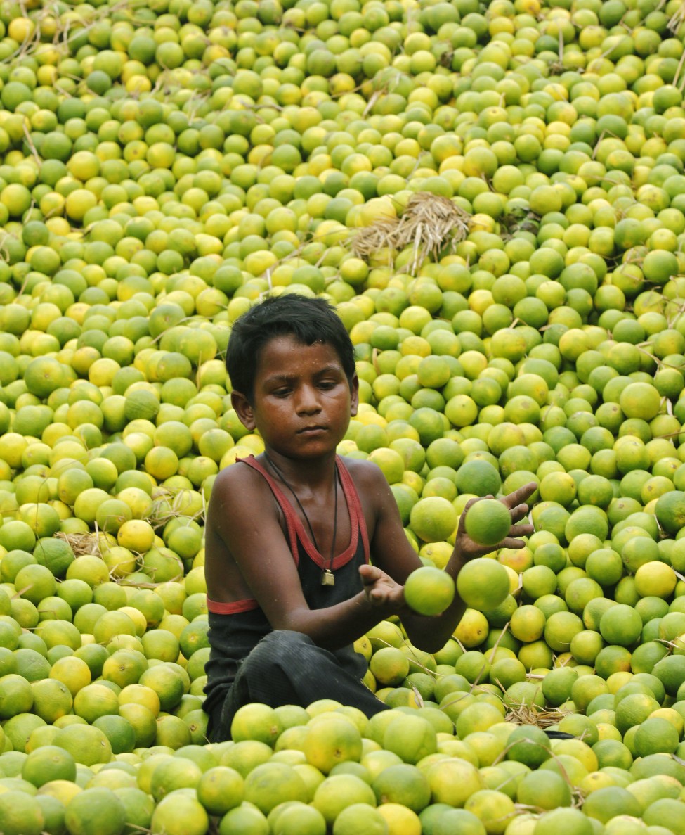 India Lemon