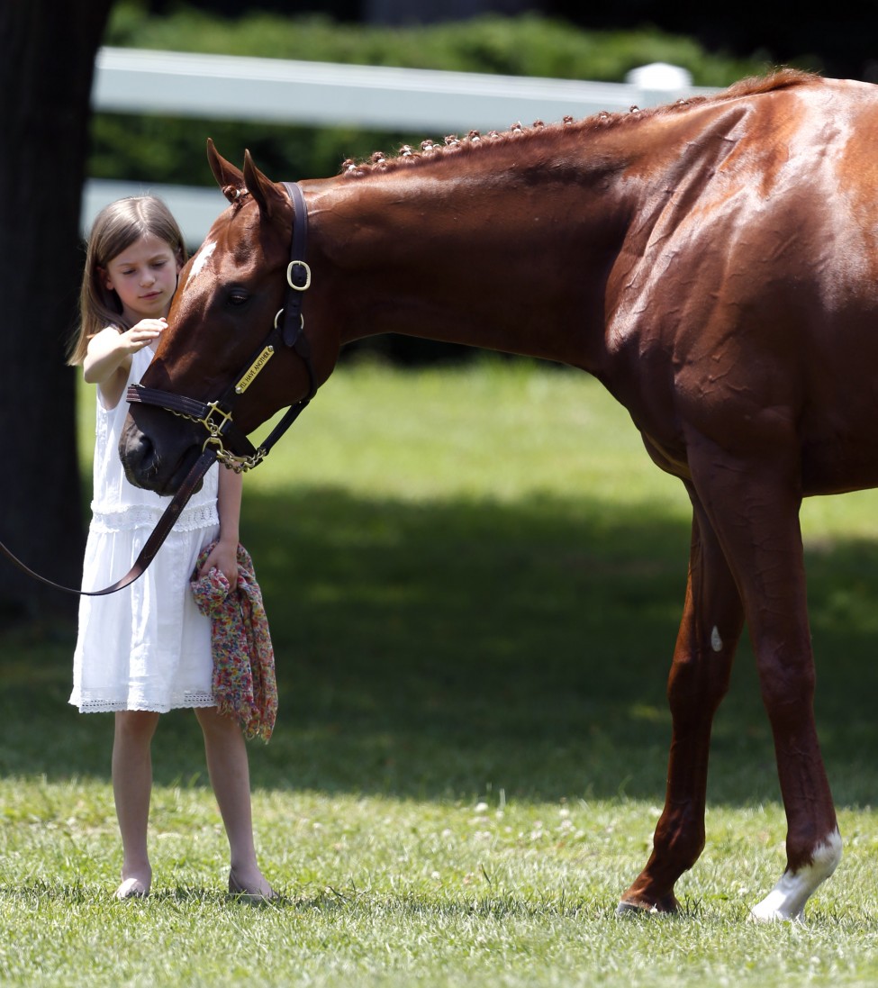 Eliza McCalmont pets Kentucky Derby and Preakness winner I'll Have Another during a news conference at Belmont Park in Elmont, NY, June 8, 2012. (AP)