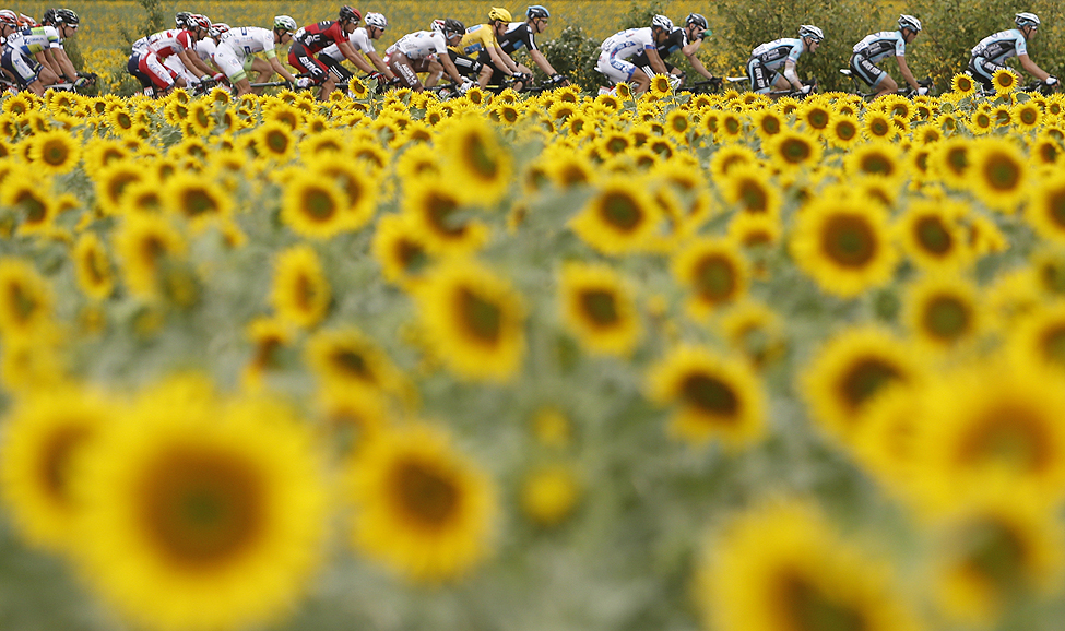 Cycling Tour de France