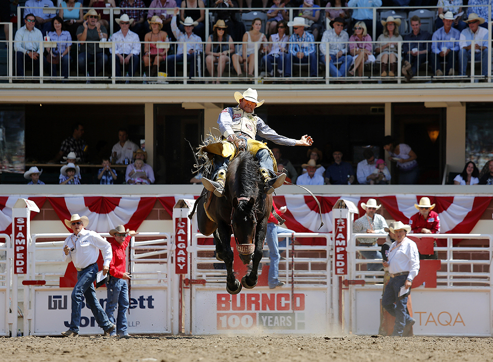 Calgary Rodeo Rider 