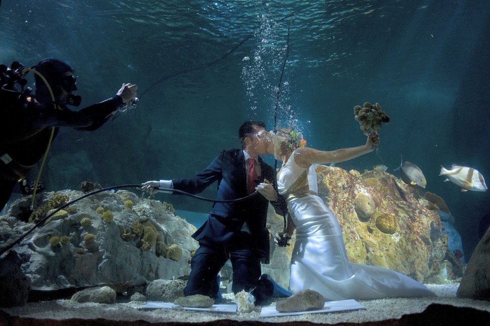 Подводна свадба во Шпанија. 
