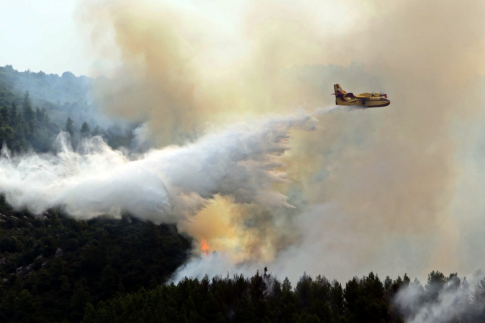 希腊北部森林野火势不可挡。8月8日当局出动25架洒水飞机在阿索斯山深处灭火