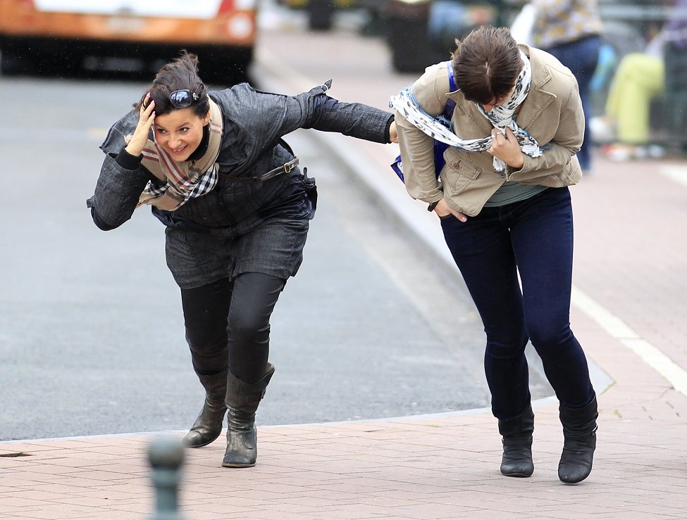 Brussels High Wind