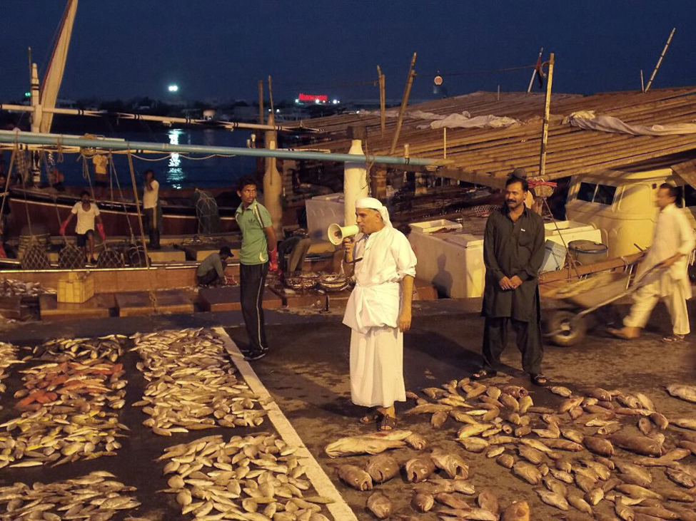 UAE Fish Auction