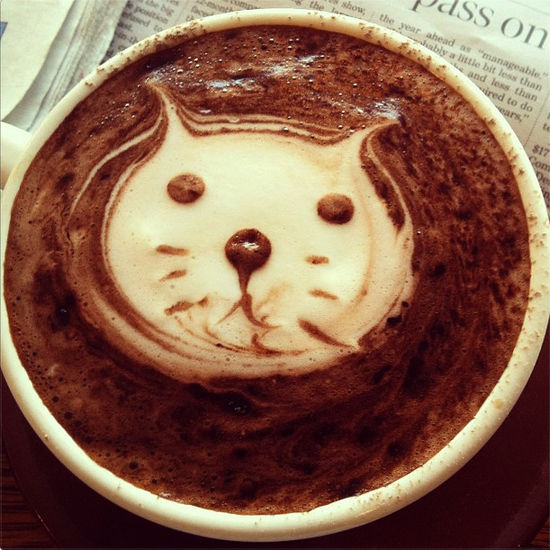 Kitty Coffee