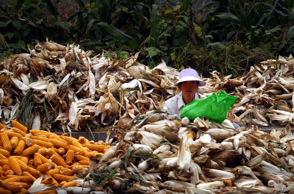 China Agriculture