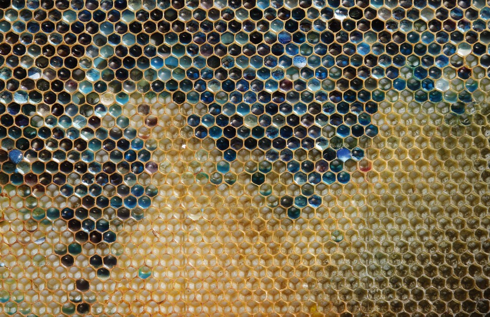 France Honeycomb