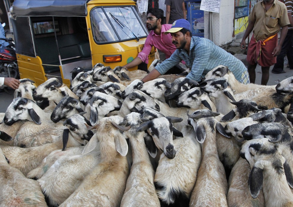 India Eid