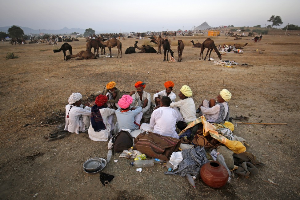 Camel herders in Rajasthan