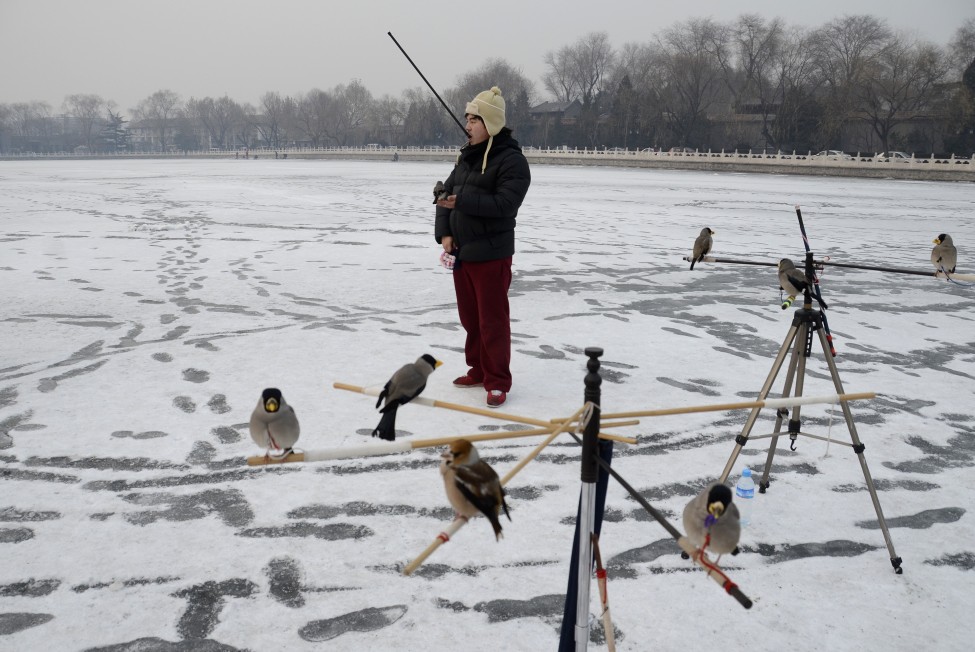 China Weather