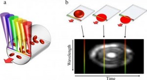 The team’s device relies on a technique called spectrally encoded confocal microscopy. (Photo: Biomedical Optics Express)