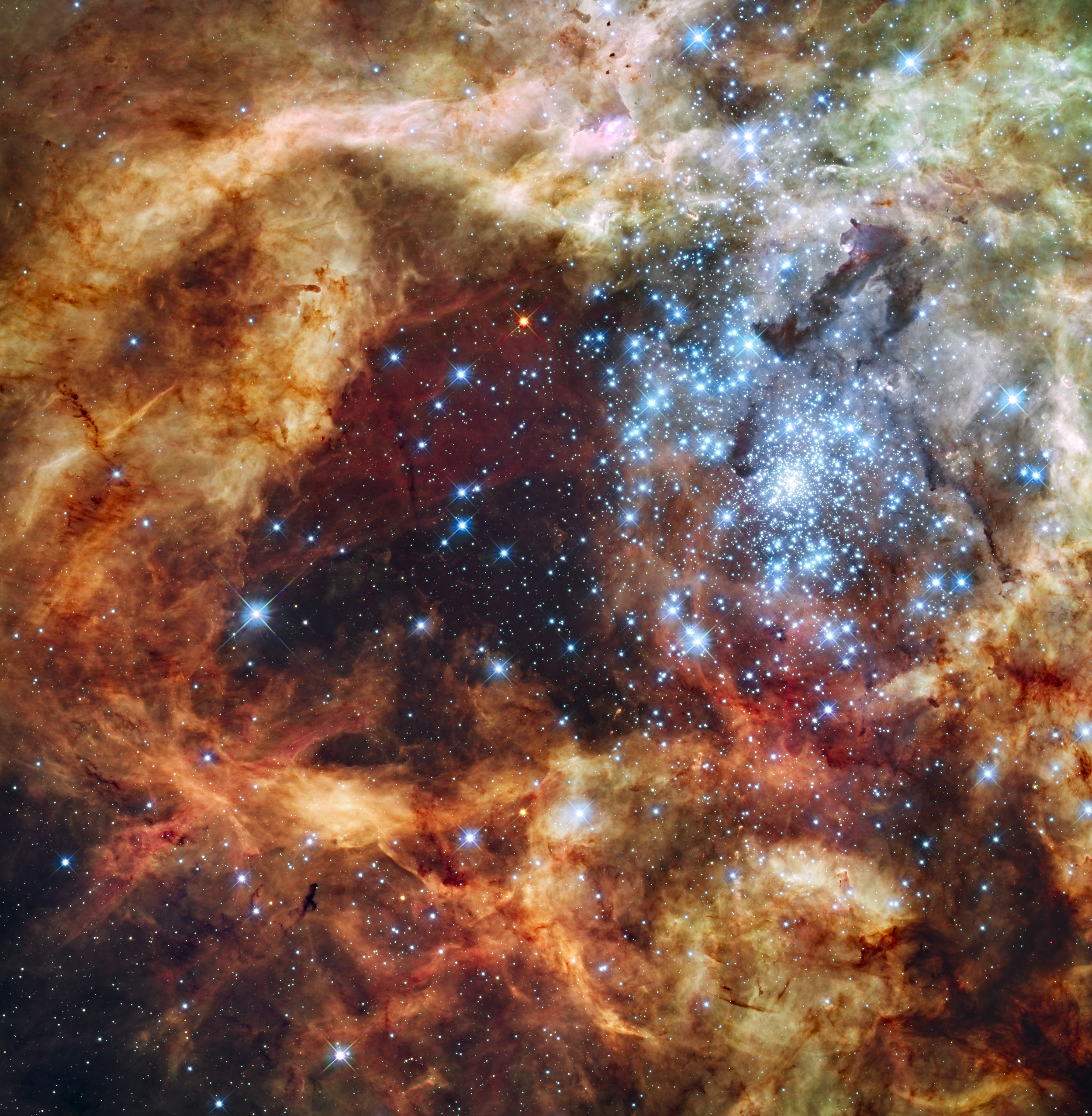  Van de Hubble Space Telescope - Star Cluster R136 Bursts Out (Foto: NASA, ESA, en F. Paresce (INAF-IASF), R. O'Connell (U. Virginia), en de HST WFC3 Science Oversight Committee)
