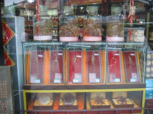 Different kinds of roots used to treat patients with Chinese herbal medicine on display at a Chinese pharmacy (Gary Kleemann via Creative Commons/Picasa)
