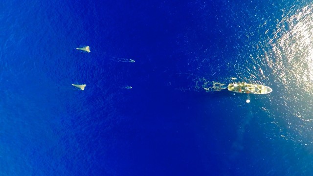The Ocean Cleanup's Mega Expedition mothership R/V Ocean Starr is shown here deploying the two 6 meter-wide ‘mega nets’, two ‘manta trawls’, and its survey balloon with camera at the center of the Great Pacific Garbage Patch. ((C) The Ocean Cleanup/Skyframes)