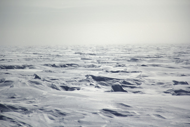 Strastrugi snow formations on the Antarctic Plateau. (Photo by Hunter Davis) 