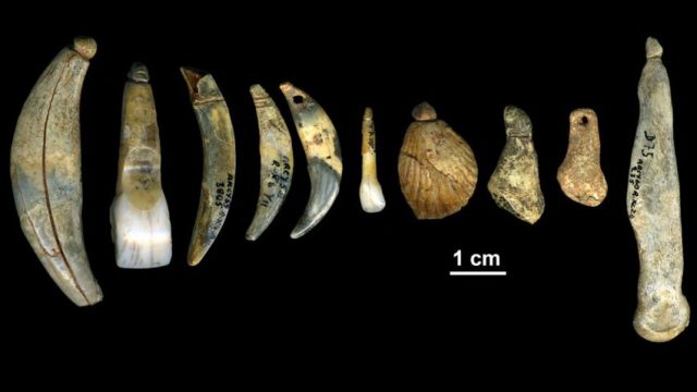 Châtelperronian body ornaments and bone points from the Grotte du Renne in Arcy-sur-Cure. (Dr. Marian Vanheren)