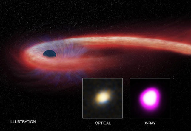 Artist’s illustration depicts what astronomers call a “tidal disruption event,” or TDE. (Illustration: CXC/M. Weiss; X-ray: NASA/CXC/UNH/D. Lin et al, Optical: CFHT)