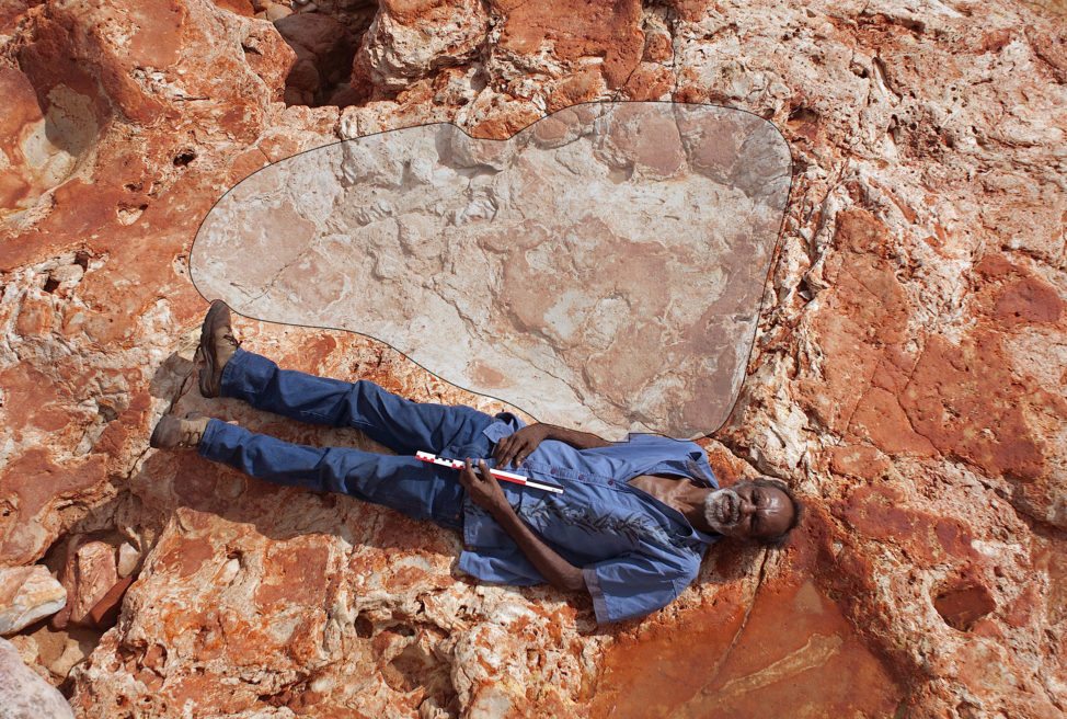 In a photo taken 3/26/17, Aboriginal elder and Goolarabooloo Law Boss Richard Hunter lies alongside a 1.75 meter footprint of a sauropod dinosaur track. Said to be the largest dinosaur track that had been found so far, it was discovered along with the footprints of 21 other dinosaur species on the coast of Northwestern Australia. (Damian Kelly-University of Queensland via Reuters)
