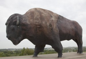 This just in: After standing, alone but proud, on the North Dakota prairie for 51 years, the world’s largest (cement) bison, or buffalo, only this year got a name.  It’s “Dakota Thunder.”  (Carol M. Highsmith)