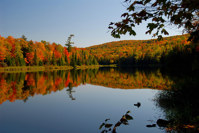 You have to admit, fall is spectacular in the U.P. “North Country.” (jsorbieus, Flickr Creative Commons)