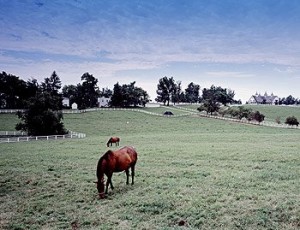 Kentucky 'Horse Country' was part of Virginia originally.  (Carol M. Highsmith)