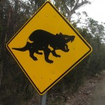 I'm thinking of using this sign as a warning that Wild Words are ahead! (Peter Shanks, Wikipedia Commons)