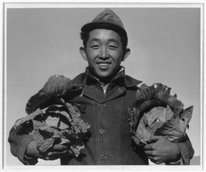 Richard Kobayashi, a Japanese-American confined at the Manzanar Relocation Center during World War II, holds cabbages that he harvested.  (Library of Congress)