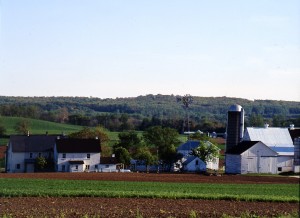 Another tidy, green, fertile Amish farm.  (Carol M. Highsmith)