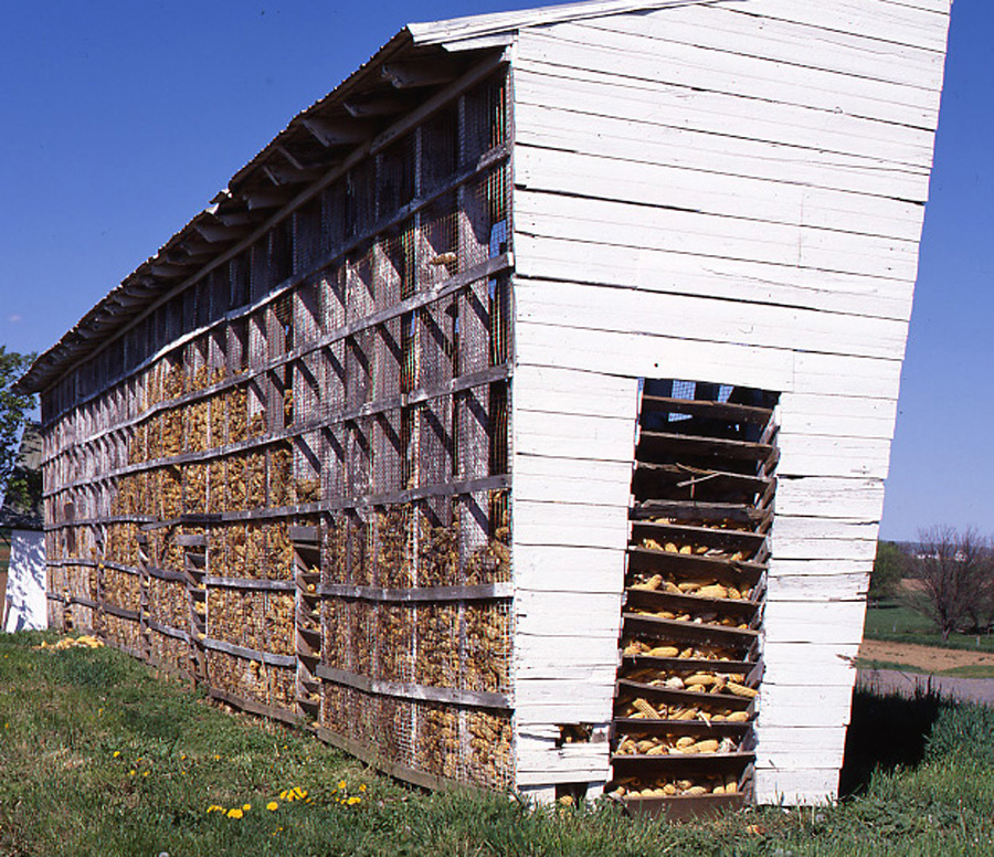 Note the simplicity and effective air flow of this Amish corn crib.  (Carol M. Highsmith)